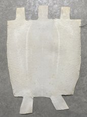 画像10: リザード　トカゲ革　オフホワイト　28cm　エキゾチックレザー (10)