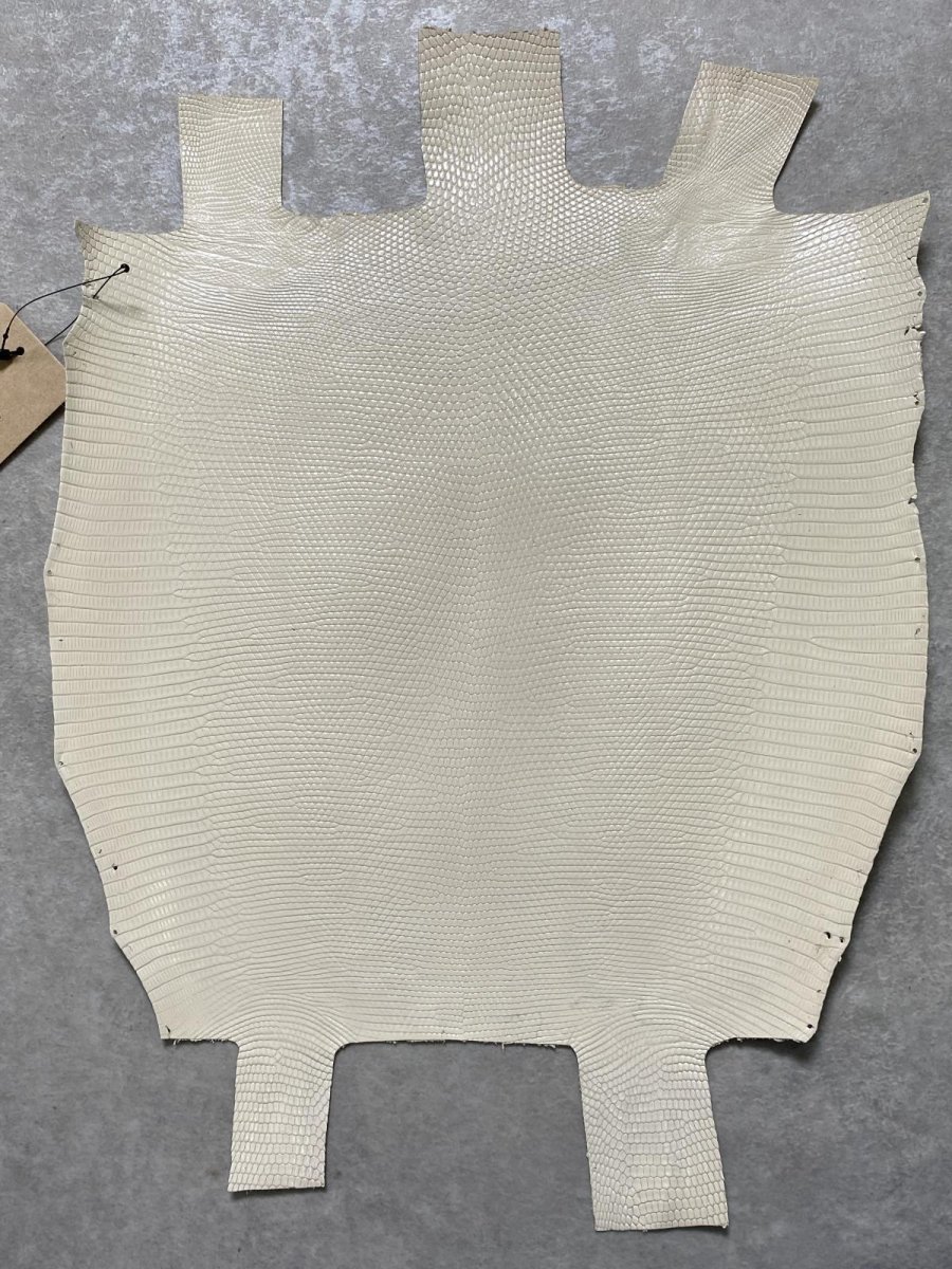 画像1: リザード　トカゲ革　オフホワイト　28cm　エキゾチックレザー (1)