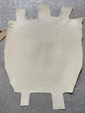 画像1: リザード　トカゲ革　オフホワイト　28cm　エキゾチックレザー (1)