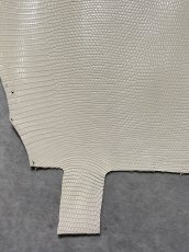 画像5: リザード　トカゲ革　オフホワイト　28cm　エキゾチックレザー (5)