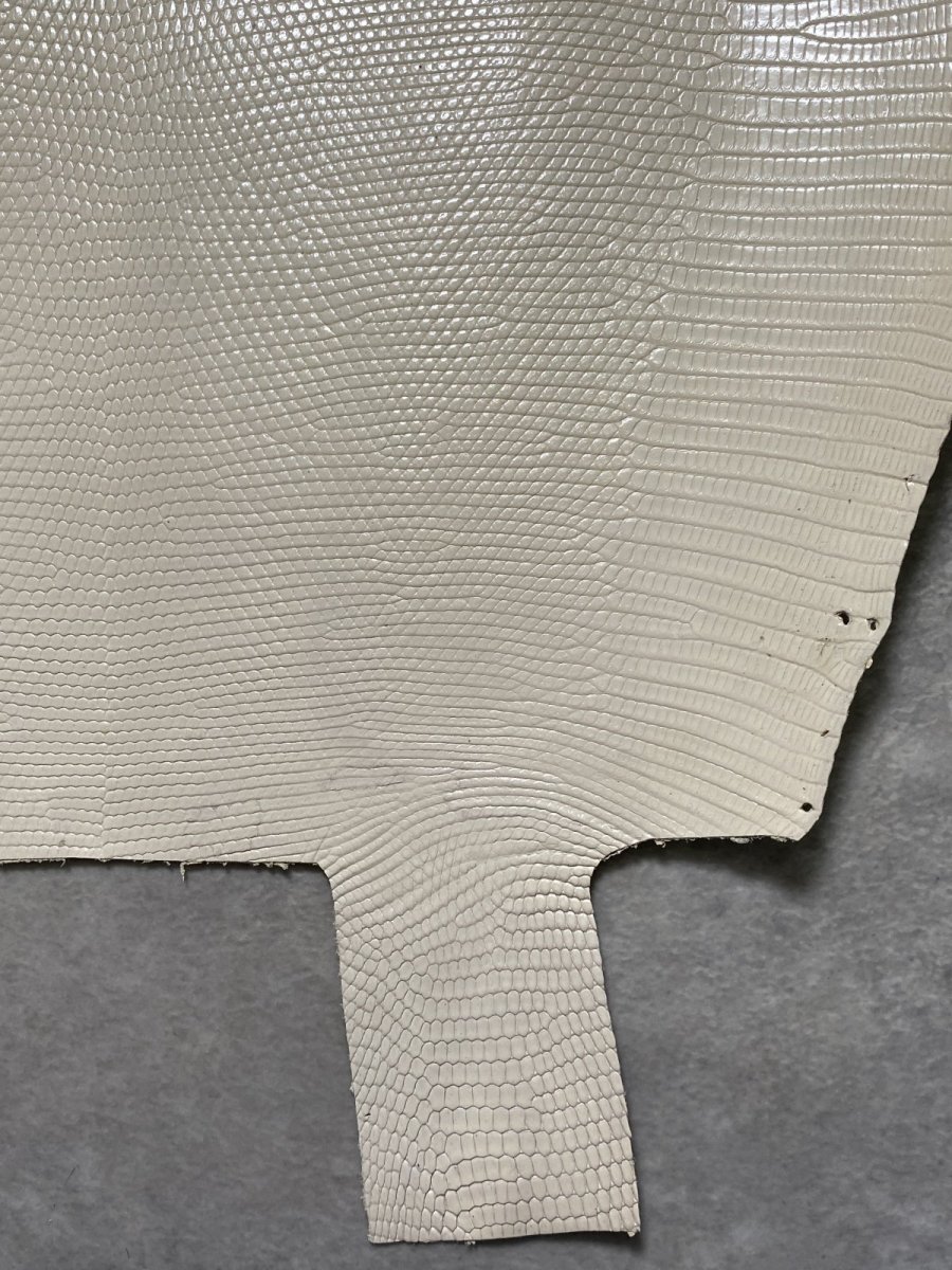 画像6: リザード　トカゲ革　オフホワイト　28cm　エキゾチックレザー (6)