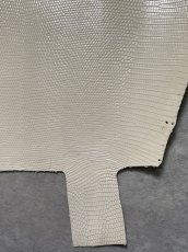 画像6: リザード　トカゲ革　オフホワイト　28cm　エキゾチックレザー (6)