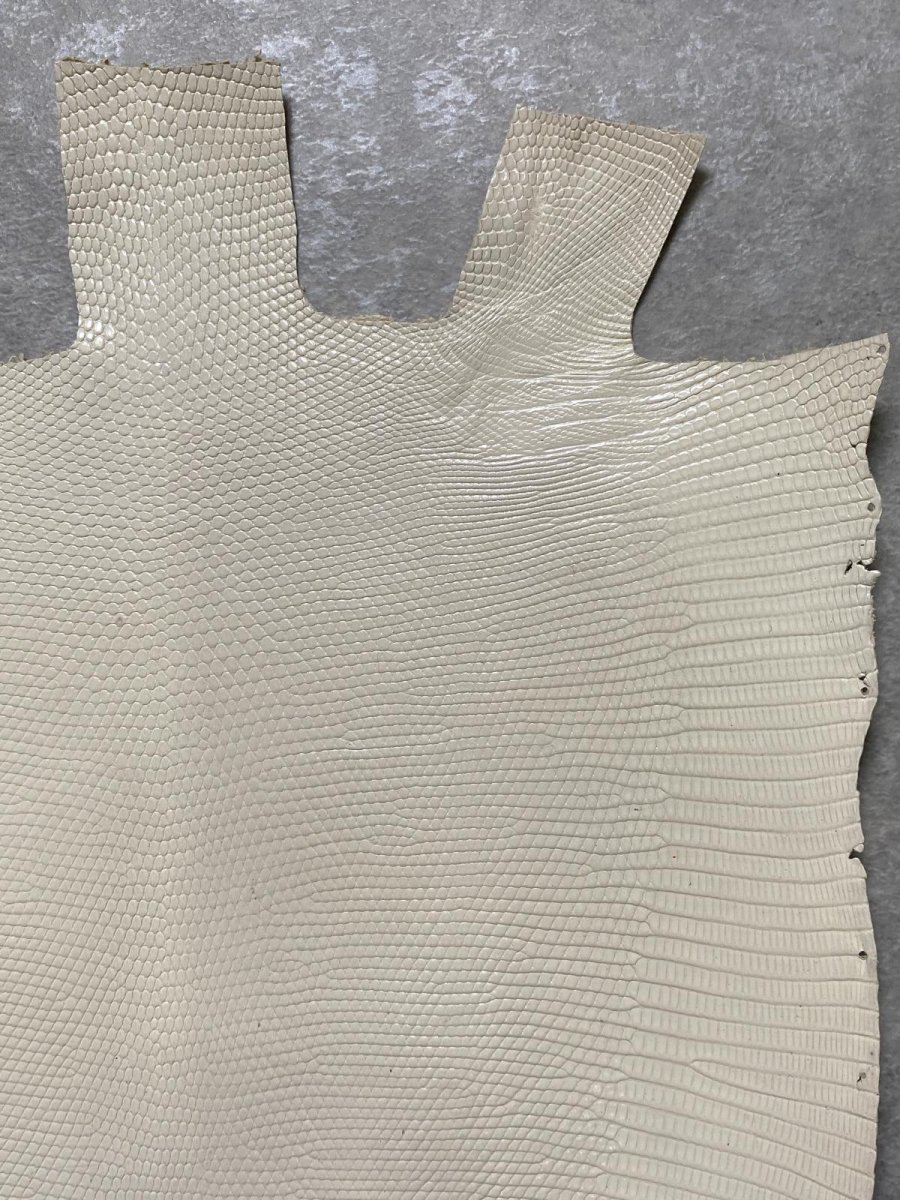 画像3: リザード　トカゲ革　オフホワイト　28cm　エキゾチックレザー (3)