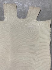 画像3: リザード　トカゲ革　オフホワイト　28cm　エキゾチックレザー (3)