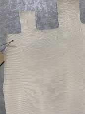 画像4: リザード　トカゲ革　オフホワイト　28cm　エキゾチックレザー (4)