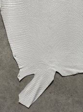 画像4: リザード　トカゲ革　ホワイト　29cm　エキゾチックレザー (4)