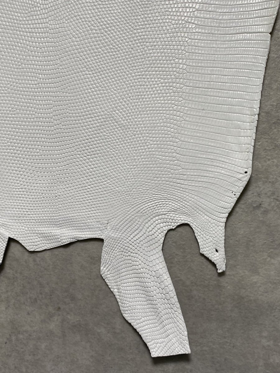 画像5: リザード　トカゲ革　ホワイト　29cm　エキゾチックレザー (5)