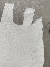 画像3: リザード　トカゲ革　ホワイト　29cm　エキゾチックレザー (3)