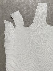 画像2: リザード　トカゲ革　ホワイト　29cm　エキゾチックレザー (2)