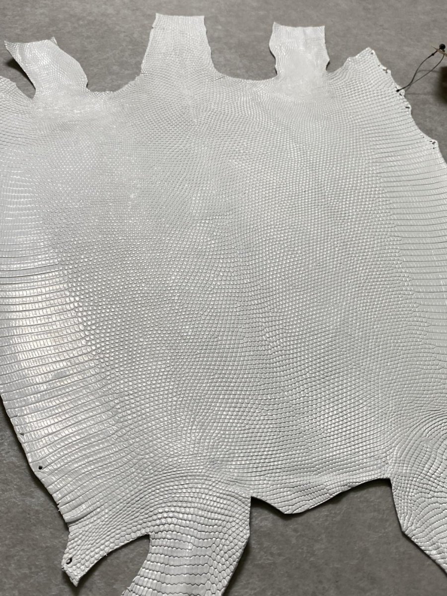 画像6: リザード　トカゲ革　ホワイト　29cm　エキゾチックレザー (6)