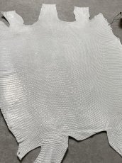 画像6: リザード　トカゲ革　ホワイト　29cm　エキゾチックレザー (6)