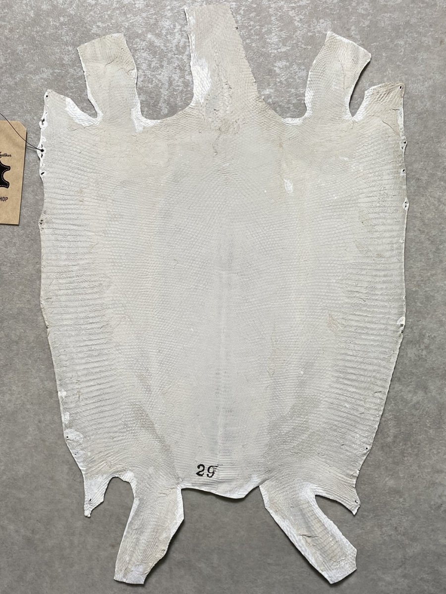 画像8: リザード　トカゲ革　ホワイト　29cm　エキゾチックレザー (8)
