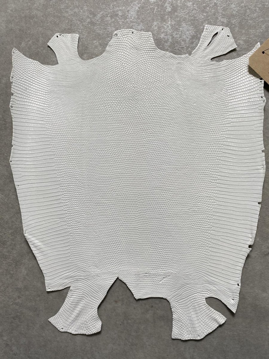 画像1: リザード　トカゲ革　ホワイト　29cm　エキゾチックレザー (1)