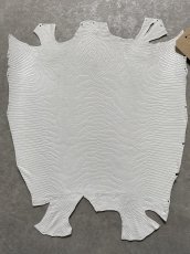 画像1: リザード　トカゲ革　ホワイト　29cm　エキゾチックレザー (1)