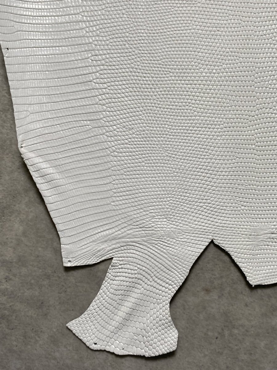 画像4: リザード　トカゲ革　ホワイト　29cm　エキゾチックレザー (4)