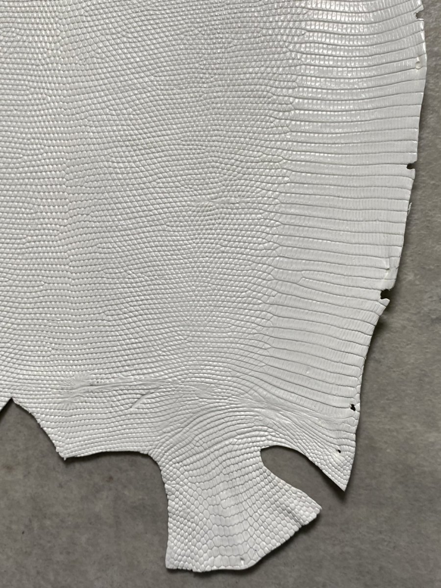 画像5: リザード　トカゲ革　ホワイト　29cm　エキゾチックレザー (5)