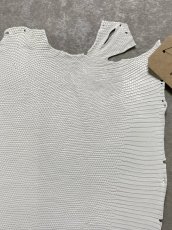 画像3: リザード　トカゲ革　ホワイト　29cm　エキゾチックレザー (3)