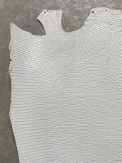画像2: リザード　トカゲ革　ホワイト　29cm　エキゾチックレザー (2)