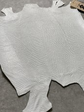 画像6: リザード　トカゲ革　ホワイト　29cm　エキゾチックレザー (6)