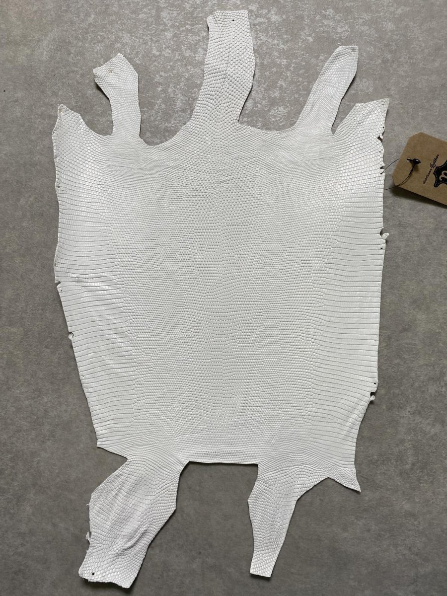 画像1: リザード　トカゲ革　ホワイト　29cm　エキゾチックレザー (1)