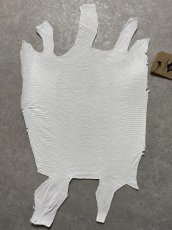 画像1: リザード　トカゲ革　ホワイト　29cm　エキゾチックレザー (1)
