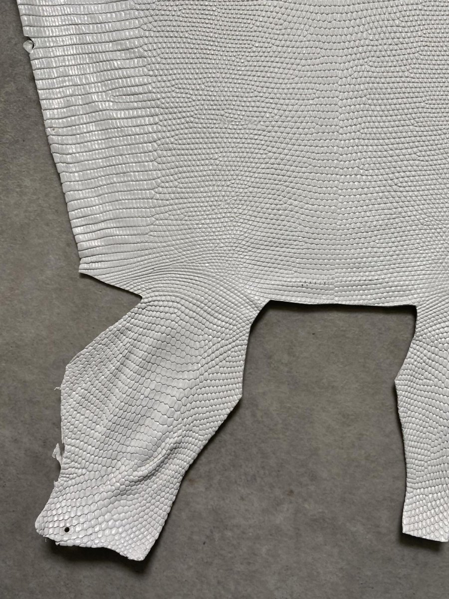 画像4: リザード　トカゲ革　ホワイト　29cm　エキゾチックレザー (4)