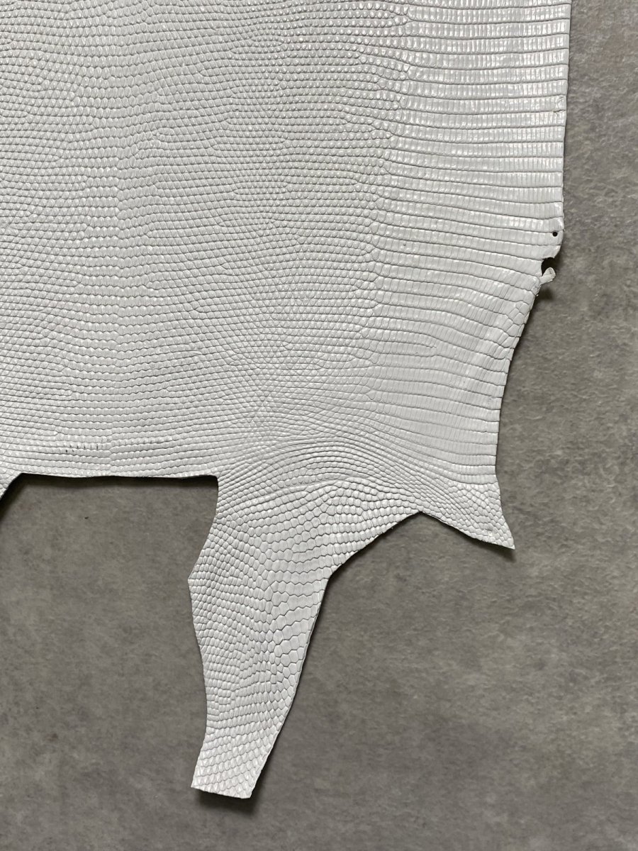 画像5: リザード　トカゲ革　ホワイト　29cm　エキゾチックレザー (5)
