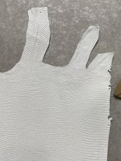 画像3: リザード　トカゲ革　ホワイト　29cm　エキゾチックレザー (3)