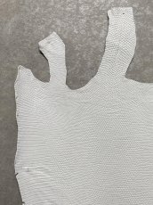 画像2: リザード　トカゲ革　ホワイト　29cm　エキゾチックレザー (2)