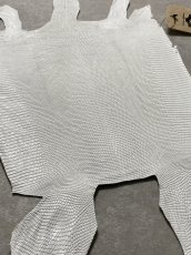画像6: リザード　トカゲ革　ホワイト　29cm　エキゾチックレザー (6)