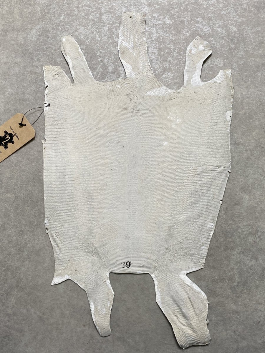 画像8: リザード　トカゲ革　ホワイト　29cm　エキゾチックレザー (8)