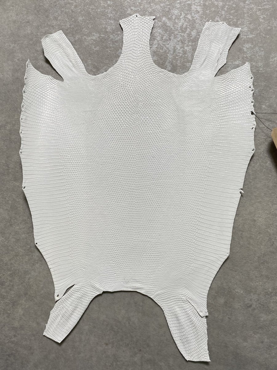 画像1: リザード　トカゲ革　ホワイト　28cm　エキゾチックレザー (1)