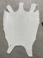 画像1: リザード　トカゲ革　ホワイト　28cm　エキゾチックレザー (1)