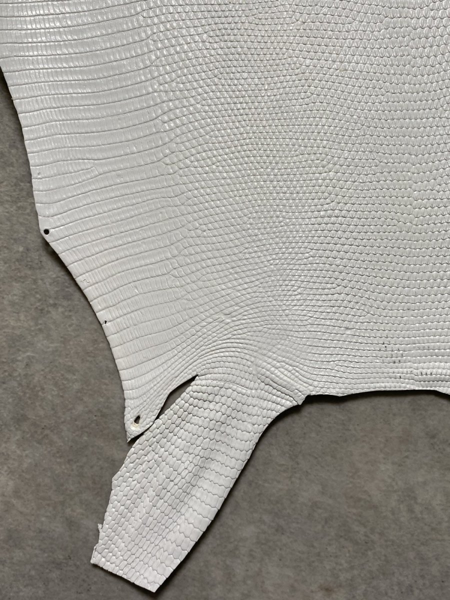 画像4: リザード　トカゲ革　ホワイト　28cm　エキゾチックレザー (4)