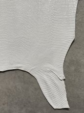 画像5: リザード　トカゲ革　ホワイト　28cm　エキゾチックレザー (5)