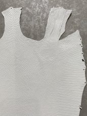 画像3: リザード　トカゲ革　ホワイト　28cm　エキゾチックレザー (3)