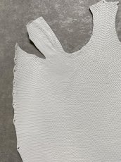 画像2: リザード　トカゲ革　ホワイト　28cm　エキゾチックレザー (2)