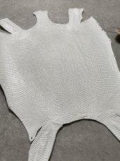 画像6: リザード　トカゲ革　ホワイト　28cm　エキゾチックレザー (6)