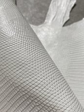 画像7: リザード　トカゲ革　ホワイト　28cm　エキゾチックレザー (7)