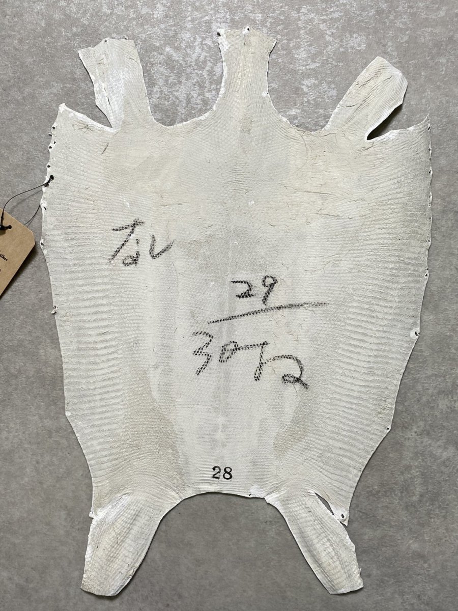 画像8: リザード　トカゲ革　ホワイト　28cm　エキゾチックレザー (8)