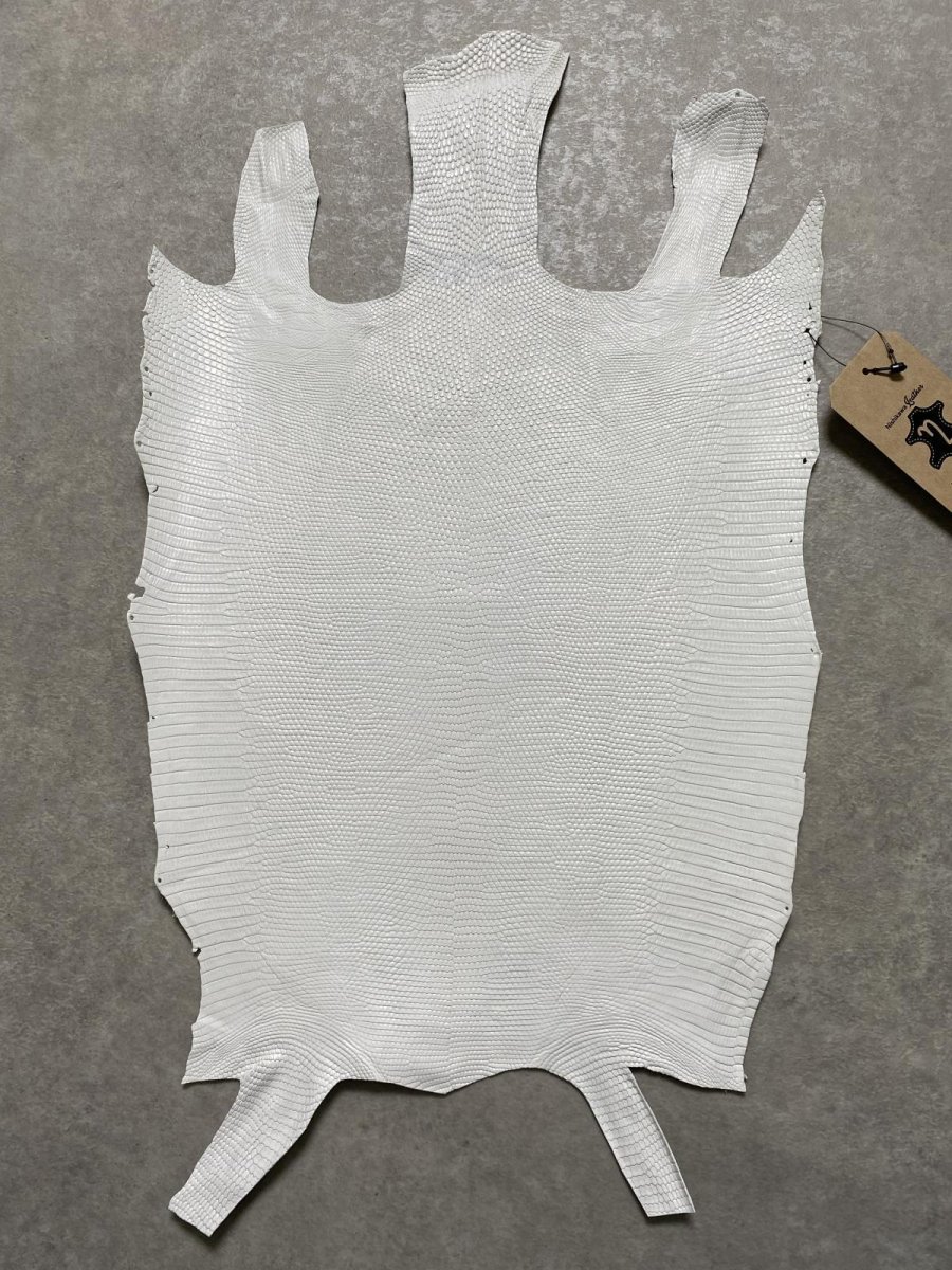 画像1: リザード　トカゲ革　ホワイト　28cm　エキゾチックレザー (1)