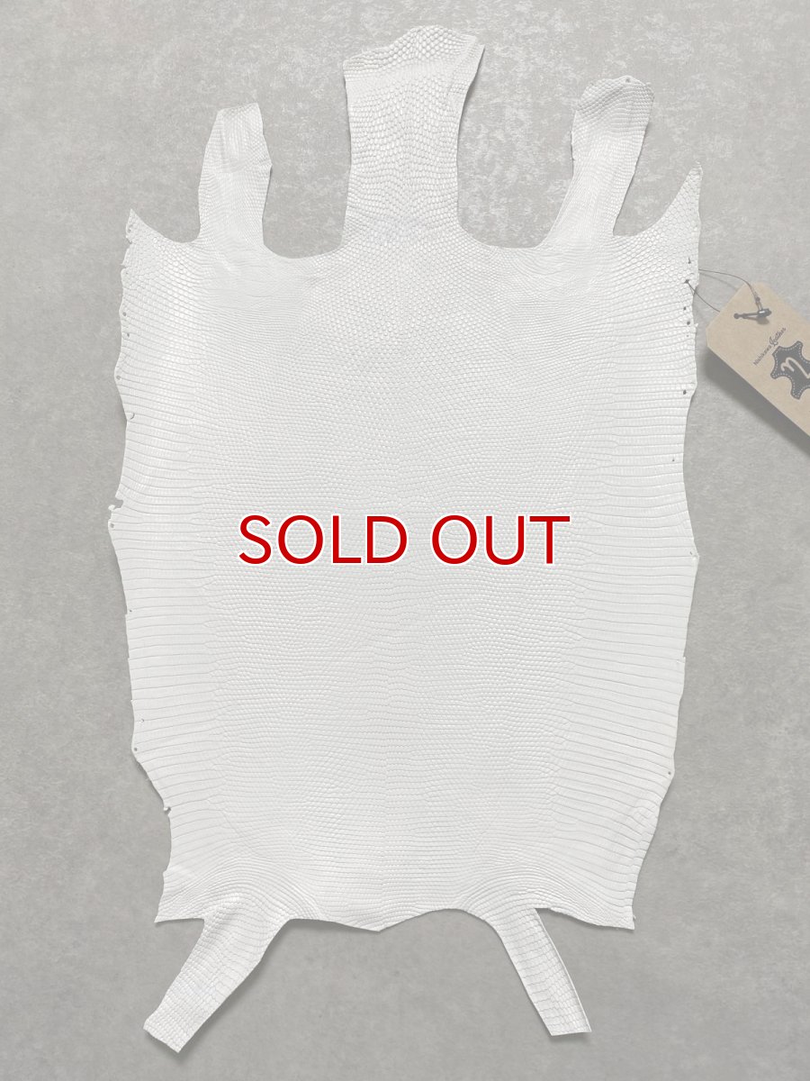 画像1: リザード　トカゲ革　ホワイト　28cm　エキゾチックレザー (1)