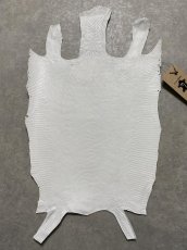 画像1: リザード　トカゲ革　ホワイト　28cm　エキゾチックレザー (1)