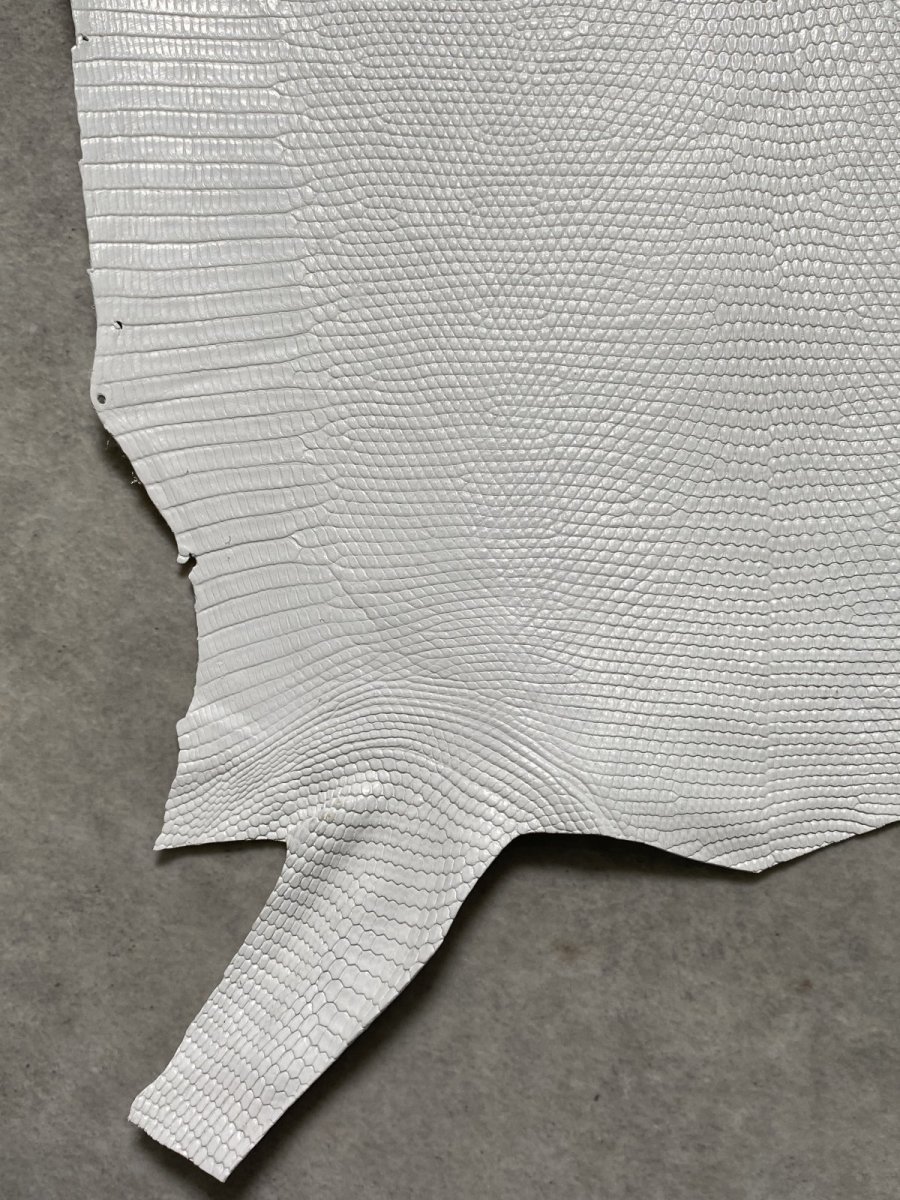 画像4: リザード　トカゲ革　ホワイト　28cm　エキゾチックレザー (4)
