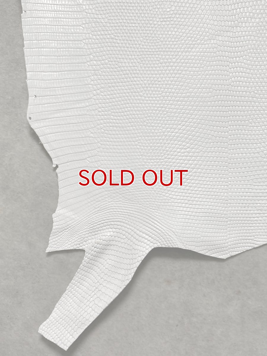 画像4: リザード　トカゲ革　ホワイト　28cm　エキゾチックレザー (4)