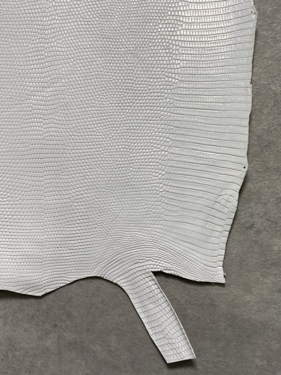 画像5: リザード　トカゲ革　ホワイト　28cm　エキゾチックレザー (5)