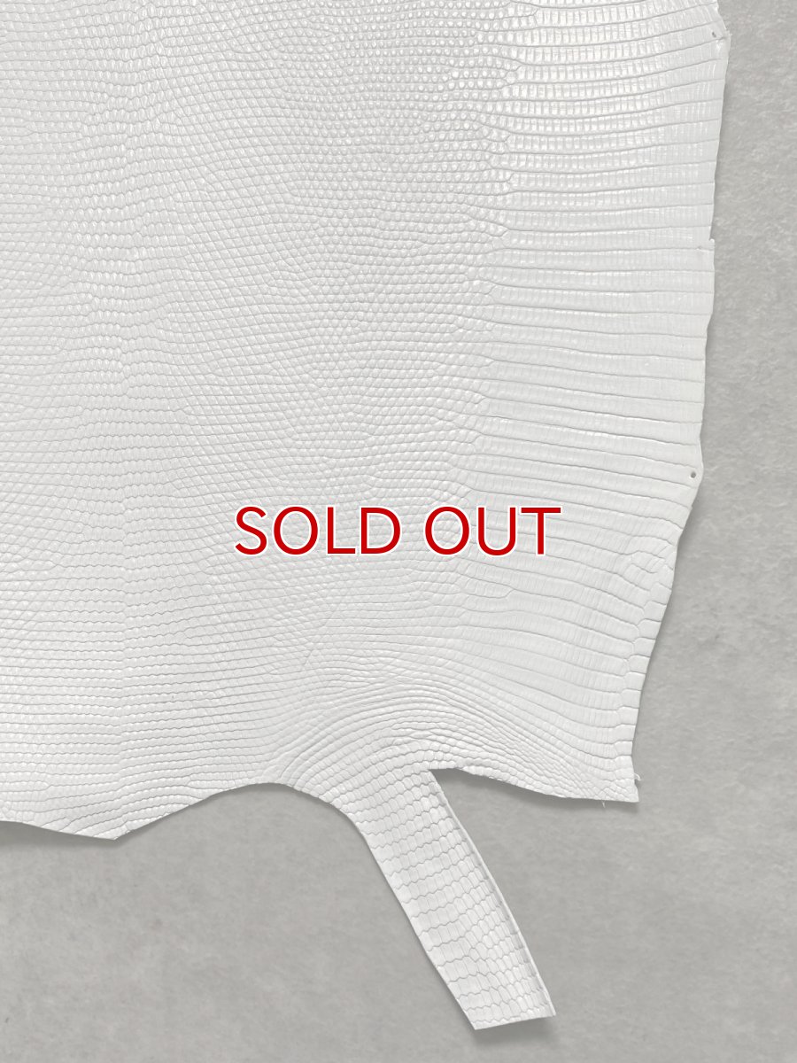 画像5: リザード　トカゲ革　ホワイト　28cm　エキゾチックレザー (5)