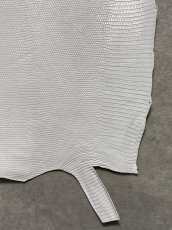 画像5: リザード　トカゲ革　ホワイト　28cm　エキゾチックレザー (5)