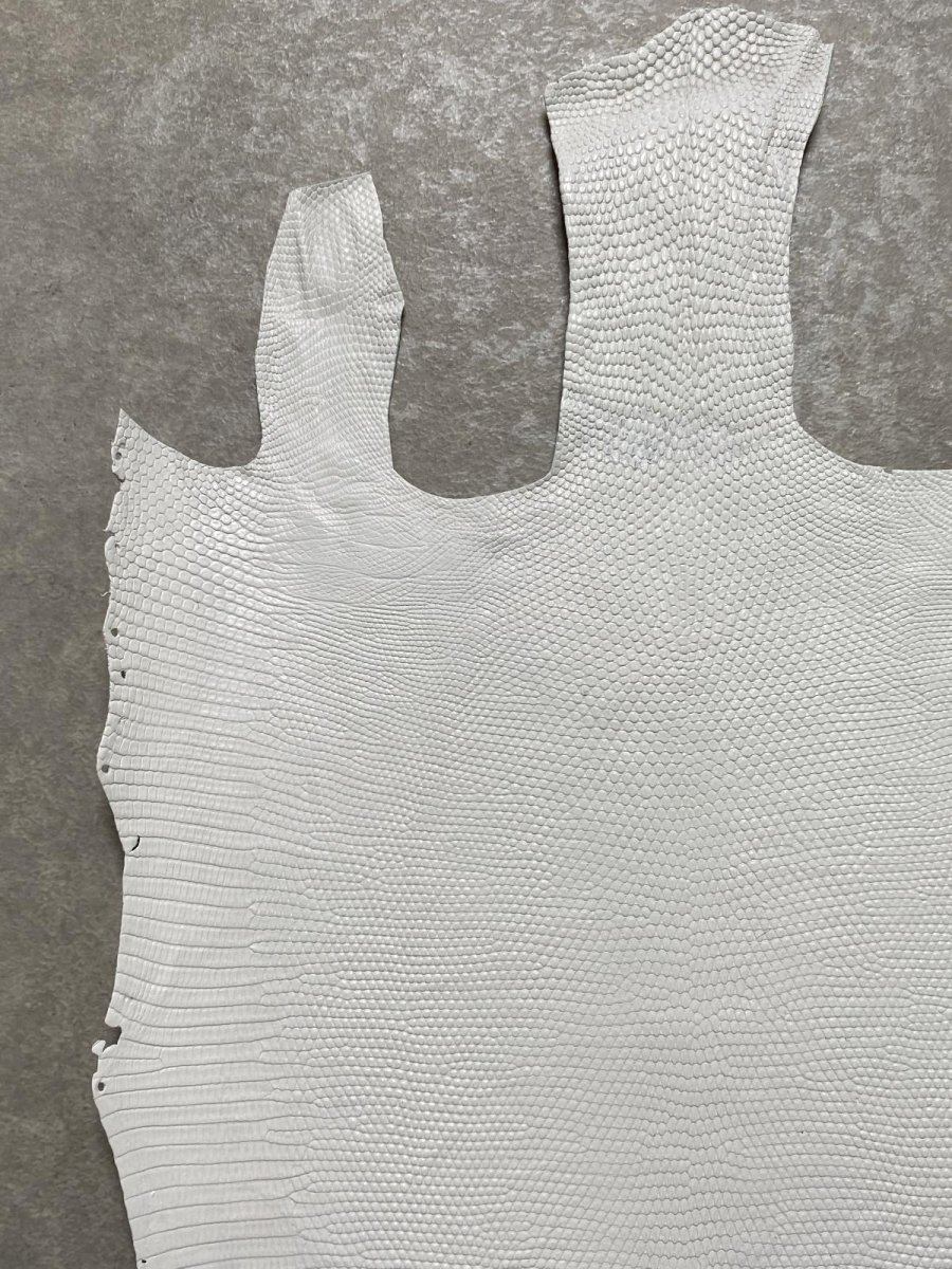 画像2: リザード　トカゲ革　ホワイト　28cm　エキゾチックレザー (2)