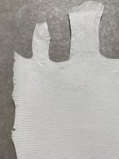 画像2: リザード　トカゲ革　ホワイト　28cm　エキゾチックレザー (2)